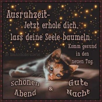 ᐅ guten abend gute nacht bilder für whatsapp kostenlos | Gute Nacht GB Pics, Gästebuchbilder