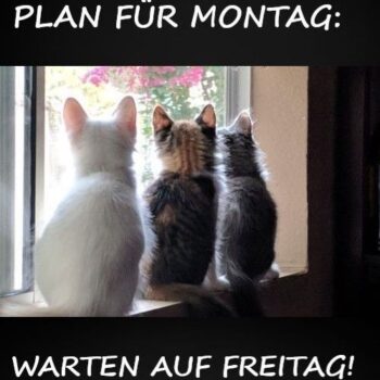 ᐅ montag bilder lustig | Montag GB Pics, Gästebuchbilder